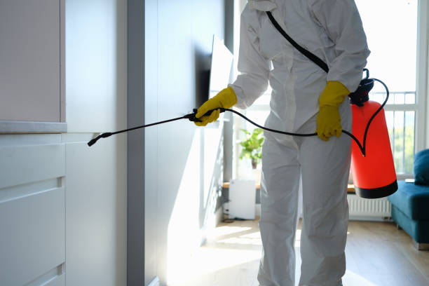 Best Commercial Mold Removal  in Westmont, IL